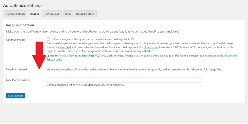 Autottimizza il caricamento pigro