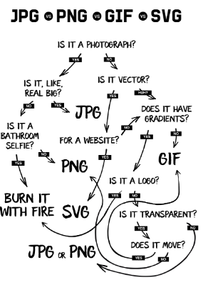 Dove, Quando e Perché Preferire i Tipi di Estensioni JPEG, GIF e PNG?