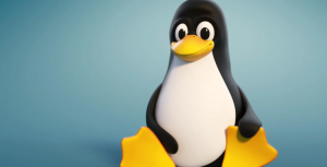 Cos'è Linux, Cosa fa e Chi lo Usa?