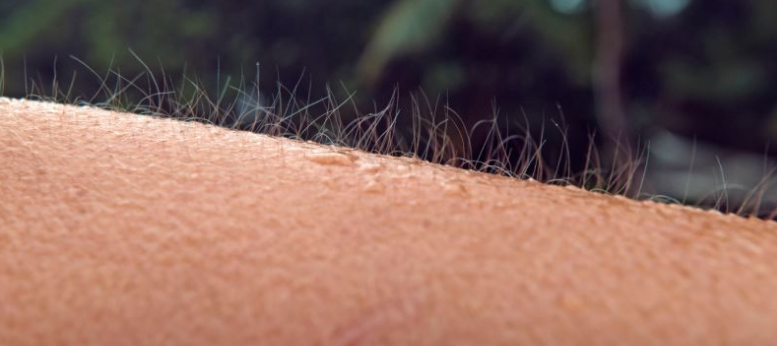 Perche ci viene la pelle D'oca anche Se non Abbiamo Freddo?