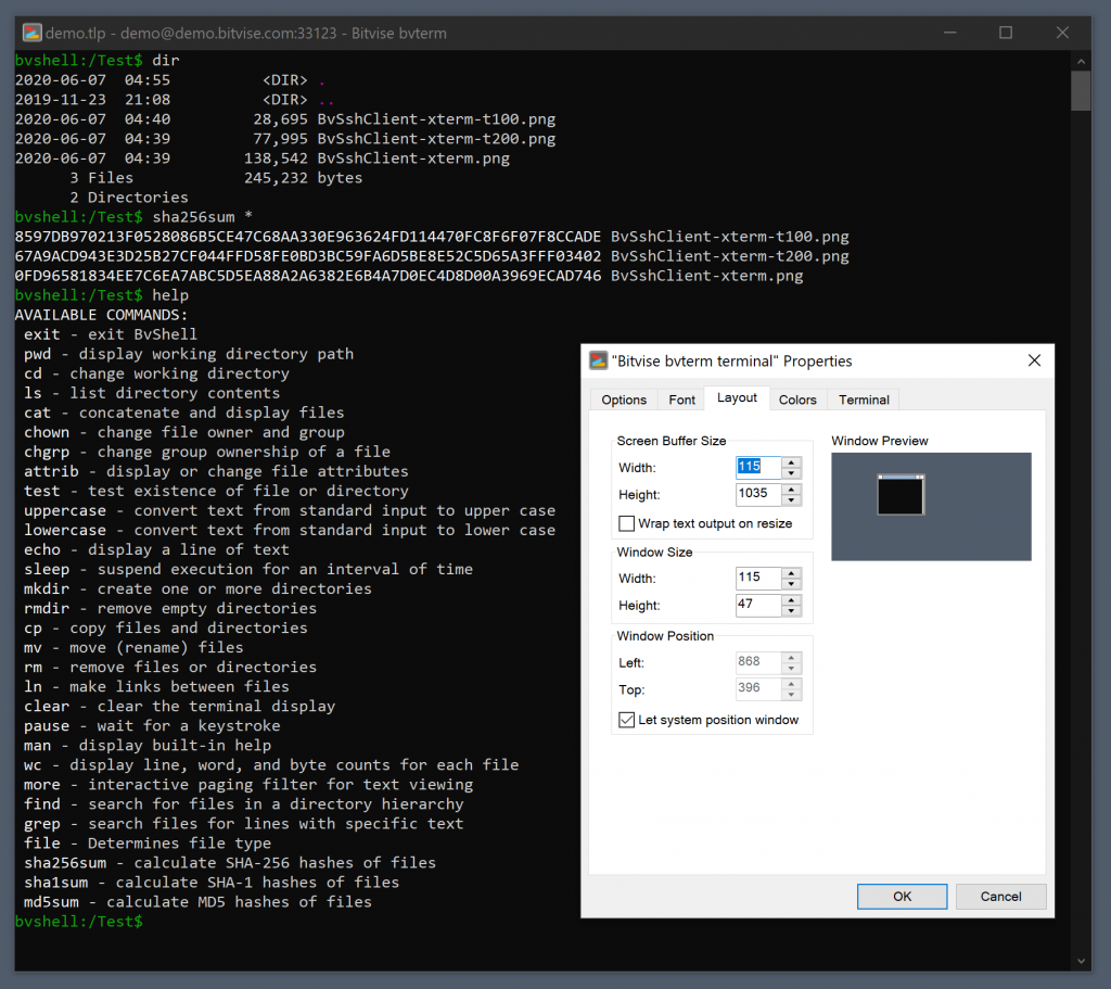 Bitvise: Uno dei migliori client SSH