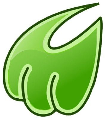 Midori per Linux