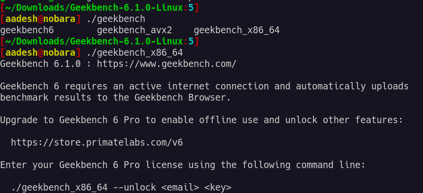 Esecuzione di Geekbench 6 dal Tarball