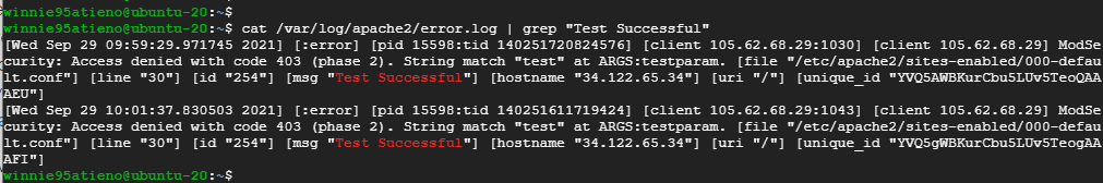 Controlla i registri di Apache 
