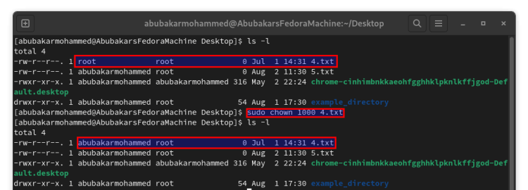 Utilizzo del comando Chown con ID utente