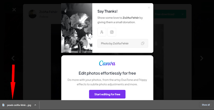 La notifica di download per Chrome nella parte inferiore della pagina viene ripristinata