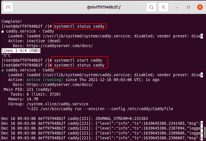 Avvia i servizi del server web Caddy su Linux