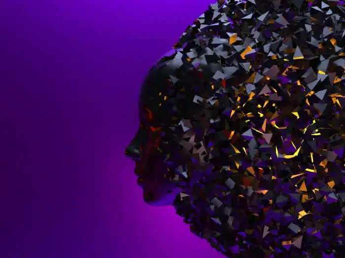 come funziona dall e