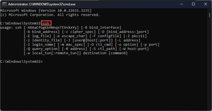 Conferma l'installazione di OpenSSH