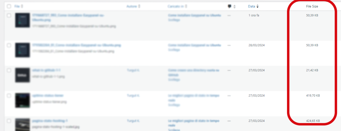 Come aggiungere una colonna che mostra le dimensioni del file nella libreria Wordpress