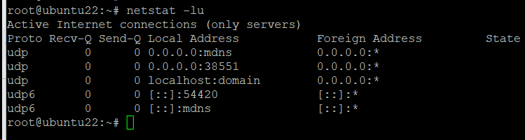 Elenca le porte di ascolto UDP