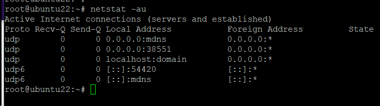 Esempio n. 3: elenca tutte le porte UDP